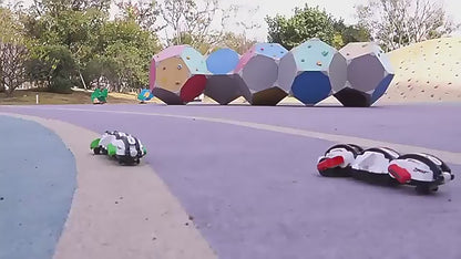 NT⁵ Rolling Shake Stunt Car